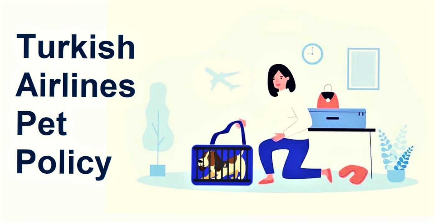 Turkish Airlines Pet Policy - Carrier Sizes, Fees +1-877-805-0998