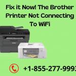 Brother Printer Not Connecting To WiFi Profile Picture