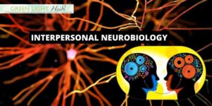 What is Interpersonal Neurobiology used for? : Center for Integration – Neuroscience Therapist