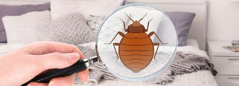 Peters Bed Bugs Control Adelaide Cover Image