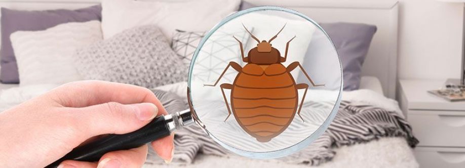 Exit Bed Bugs Control Adelaide Cover Image