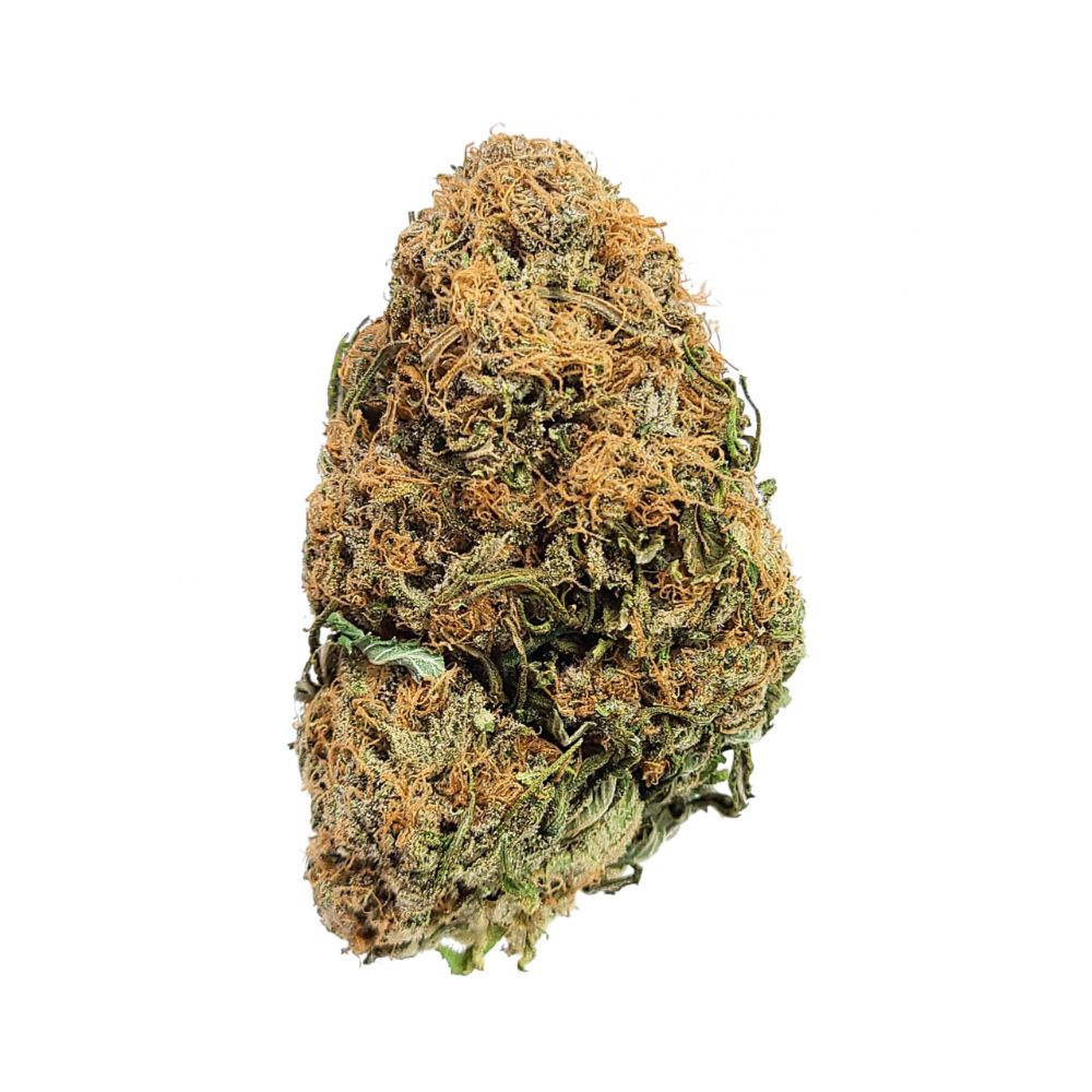 Buy Chocolope Sativa Weed Strain in Canada - Shrooms Wholesale