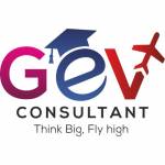 GEV Consultants profile picture