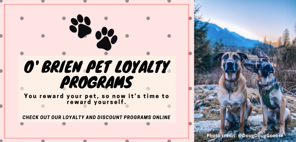 O'Brien Local Pet Food Store | Squamish Pet Food Store | Pet Food Delivery