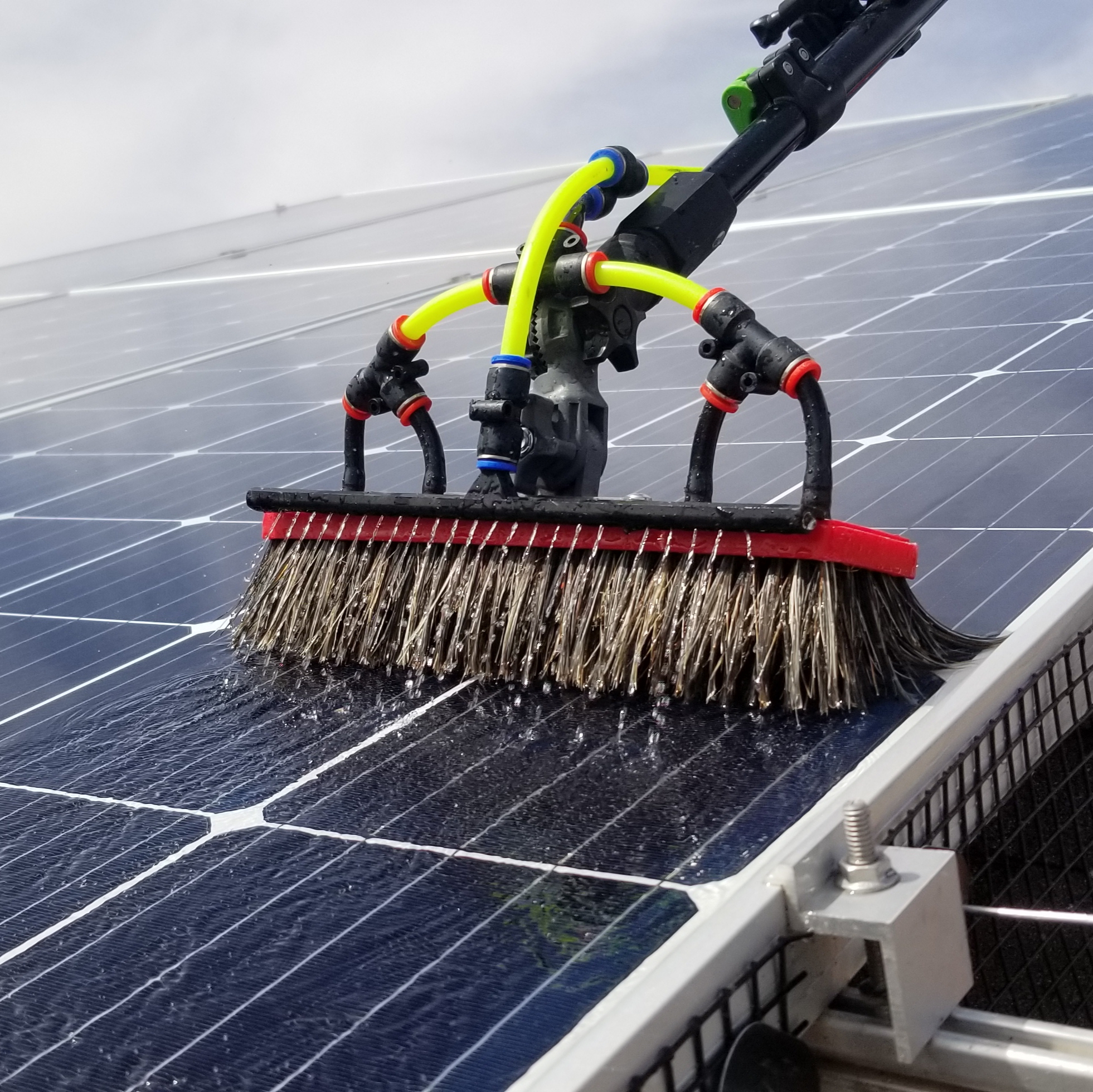 Solar Panel Cleaning and Bird Proofing - El Paso