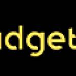 Budget Coders Profile Picture