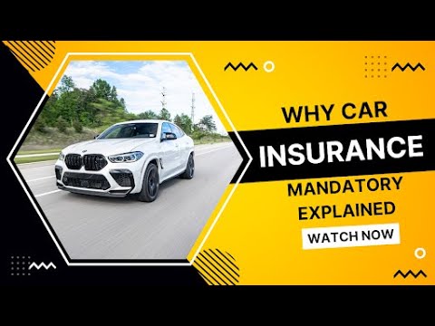 Why Car Insurance Mandatory explained by Ganna Freiberg - YouTube