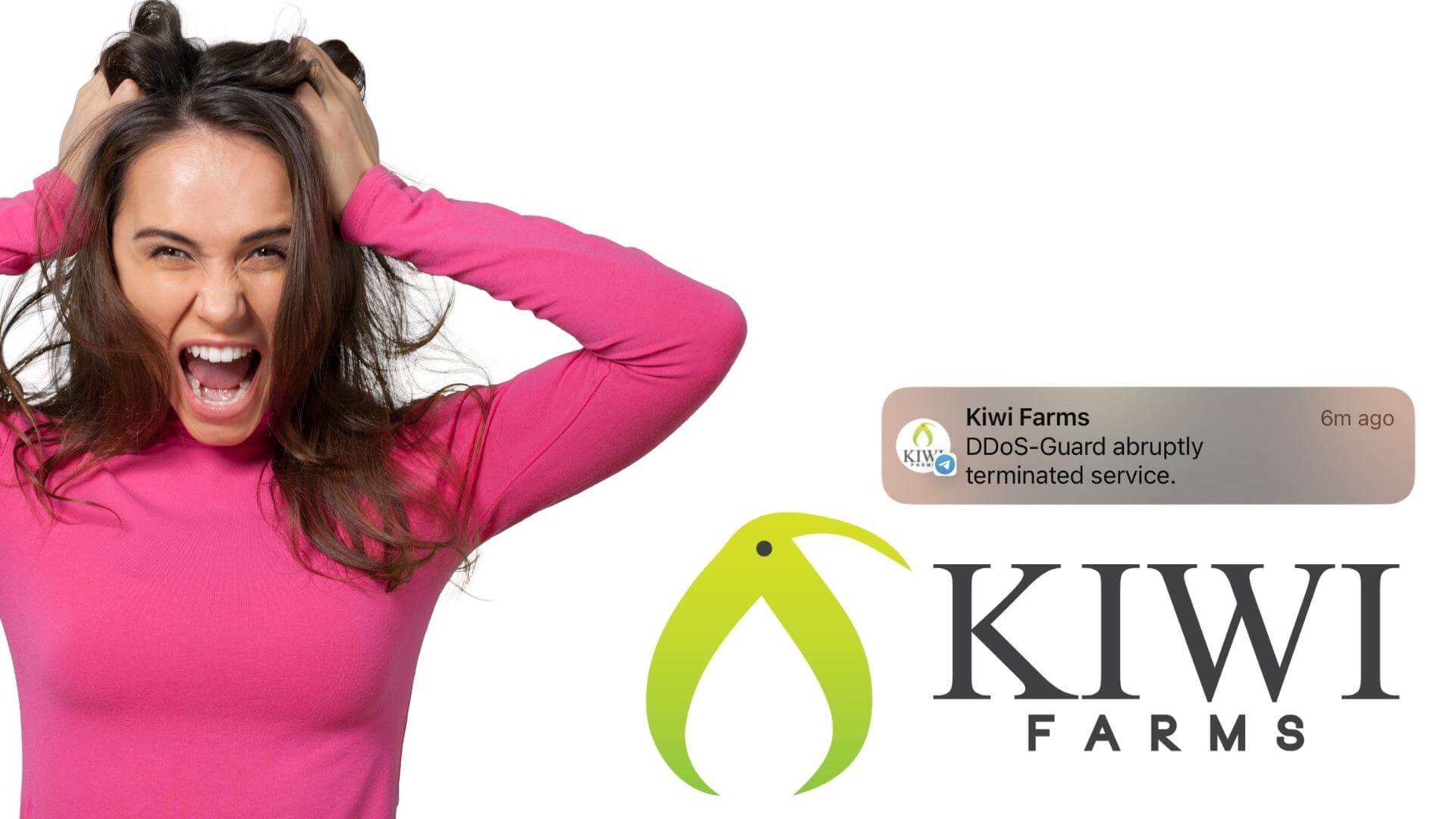 KiwiFarms: The Internet's Most Controversial Website