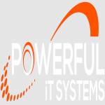 Powerful IT Systems Profile Picture
