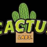 The cactus Labs Profile Picture