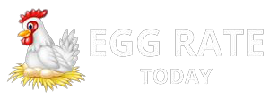 Hyderabad Egg Rate Today | NECC Egg Price in Hyderabad, Telangana