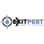 Exit Spider Control Sydney Profile Picture