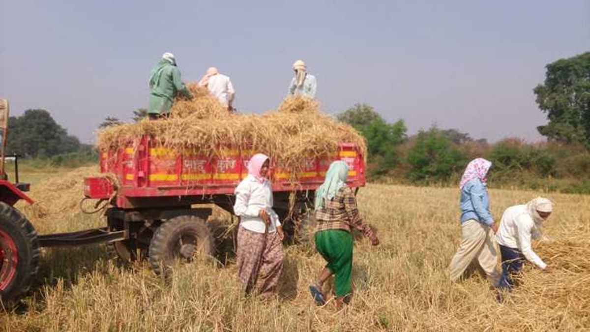 राजस्थान किसान कर्ज माफी लिस्ट जारी, जानिए कैसे चेक करें नाम?