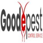 Goode Wasp Removal Brisbane Profile Picture