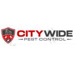 City Wide Rodent Control Sydney Profile Picture