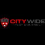 City Wide Pest Control Sydney Profile Picture