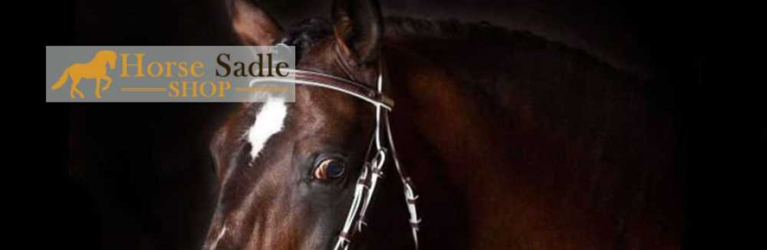 Horse Bridle Cover Image