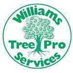 Williams Tree Pro Services Profile Picture