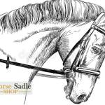 Horse Bridle Profile Picture