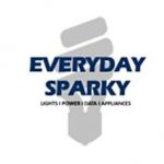 Everyday Sparky Electrical Services Profile Picture