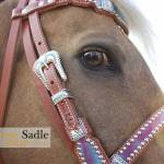 Horse Bridle Profile Picture