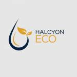 Halcyon Group Profile Picture