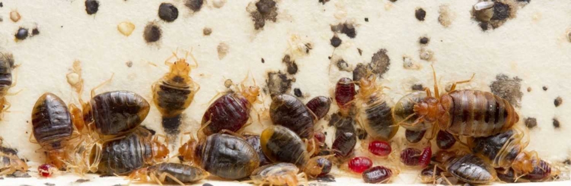 City Wide Bed Bug Control Sydney Cover Image