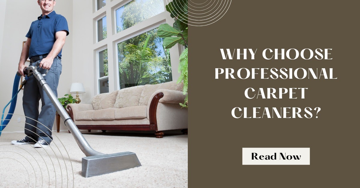 Why Choose Professional Carpet Cleaners?