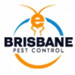 E Flies Control Brisbane Profile Picture