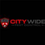 City Wide Pest Control Brisbane profile picture