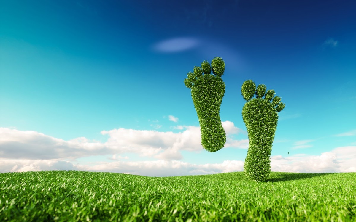 4 Top Tips to Calculate the Carbon Footprint of Your Organization