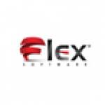Flex Software Consulting Profile Picture