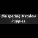 Whispering Meadow Puppies Profile Picture