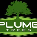 Plumb Trees Profile Picture