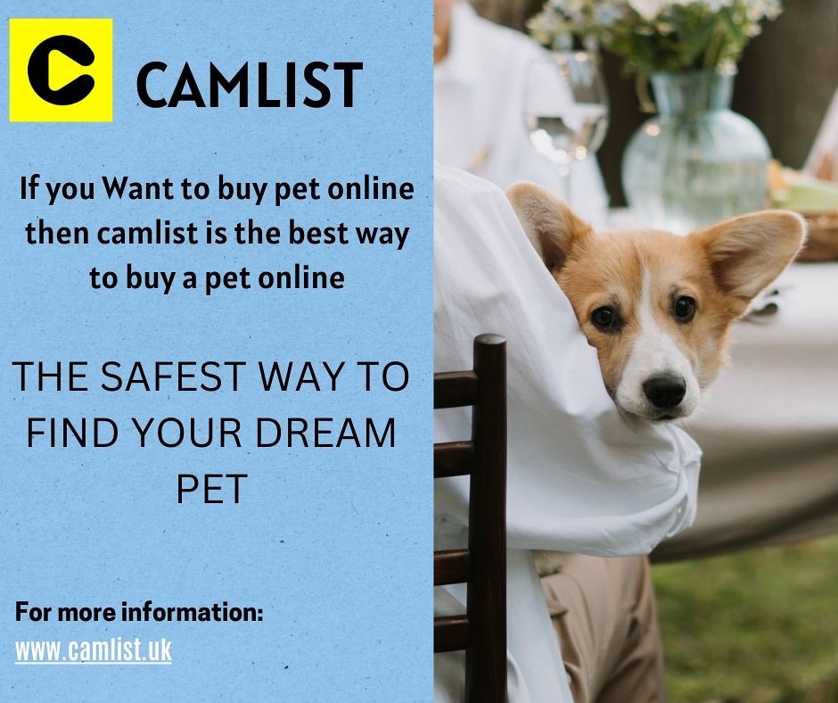 Camlist | The safest way to find your dream pet. Visit our w… | Flickr
