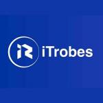 iTrobes Technologies Profile Picture
