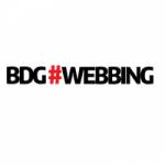 BDG Webbing Ltd Profile Picture