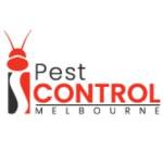 I Flies Control Melbourne profile picture