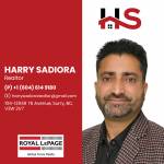 Harry Sadiora Profile Picture
