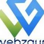 Webzguru services Profile Picture
