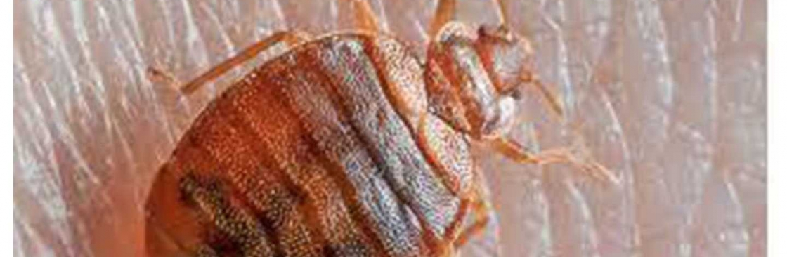 E Bed Bug Control Brisbane Cover Image