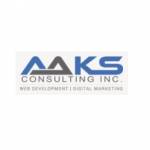 AaksConsulting Profile Picture