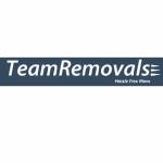 Team Removal Profile Picture