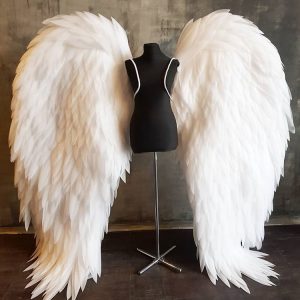 Photo with Angel and Fairy Wings Toronto – Costumes & Cloths