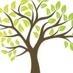 Elagage arbre Profile Picture