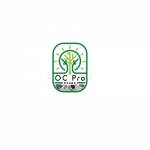 OC Pro Space Profile Picture