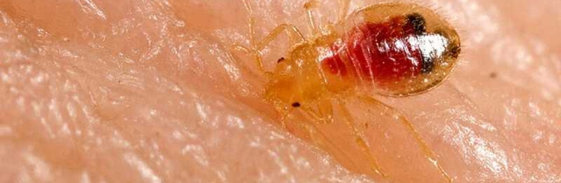 Bed Bug Control Hobart Cover Image