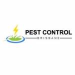 Termite Control Brisbane Profile Picture