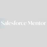 Salesforce Mentor Profile Picture