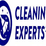 Cleaning Experts Profile Picture
